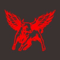 TAURUS EXP