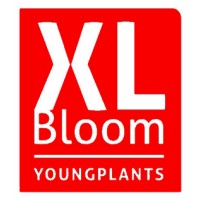XL-Bloom YoungPlants logo - Similar company to Auto Oostdijk