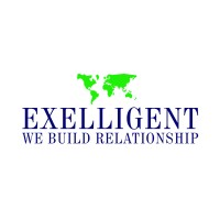 Exelligent Minerals logo - Similar company to Exelligent