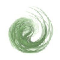 Blue Mirror Insights logo - Similar company to Enchanted Magic Mirror