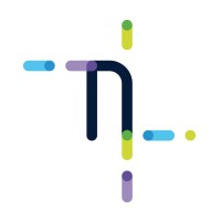 Netpro Group logo - Similar company to Netpro