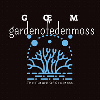 GŒM logo - Similar company to Heat Dance