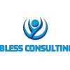 BLESS Consulting logo - Similar company to Liburnetik Organisation