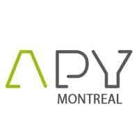 APY MTL logo - Similar company to Image In Network