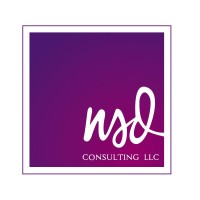 NSD Consulting, LLC logo - Similar company to Nsd Consulting
