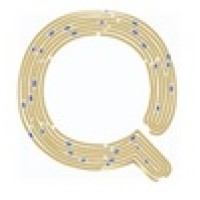 Quadrillion Hospitality logo - Similar company to Digifyone