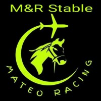 M&RStable logo - Similar company to Avionicsea