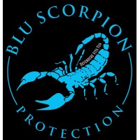 Blu Scorpion Protection, Llc