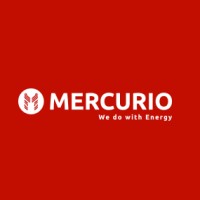 MERCURIO SRL logo - Similar company to Re-Ef