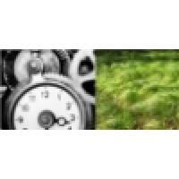 MAKINA logo - Similar company to Tse