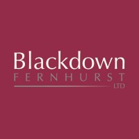 Blackdown Fernhurst Ltd logo - Similar company to Blackdown Fabrication