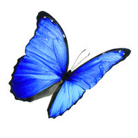 Loynton & Co Solicitors Limited