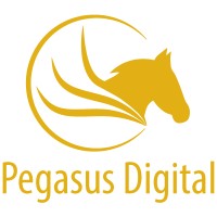 Pegasus Digital AG logo - Similar company to P&W Consultancy International