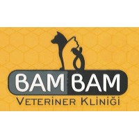 BamBam VETERİNER KLİNİĞİ logo - Similar company to Dragos Evci̇l Hayvan Ürünleri̇ Pazarlama