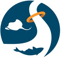 Smartrawl logo - Similar company to Notus Electronics Ltd.