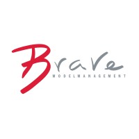Brave Models logo - Similar company to Pwr Models