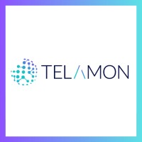 TELAMON SAS logo - Similar company to Makroxl Software : Prestataire Vba, Macro Excel