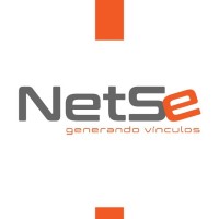 NetSE logo - Similar company to Escom