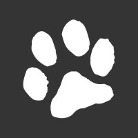 WAIONA WebStudio logo - Similar company to Asile