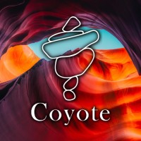 Coyote Idea Lab logo - Similar company to Coyote Labs