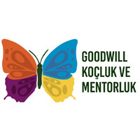 GoodWill Koçluk ve Mentorluk logo - Similar company to Strategsys