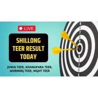 Shillong Teer Result logo - Similar company to Nelookup