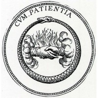 Patientia Management logo - Similar company to Ottima Energy