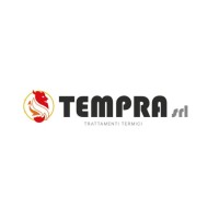 Tempra S.r.l. logo - Similar company to Gozio Transfer