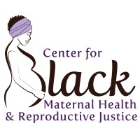 Center for Black Maternal Health and Reproductive Justice at Tufts University logo - Similar company to Black Ladies In Public Health