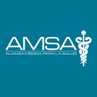 AmsaMX logo - Similar company to Black Development Group