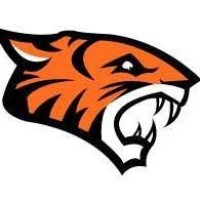 Tigers Super Sports Media Group logo - Similar company to Ma Global Services