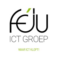 Féju ICT Groep logo - Similar company to Alfa Performance Partners