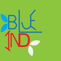 BlueInd Consulting Services logo - Similar company to Agriverge