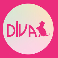DIVA Pet and Vet logo - Similar company to Movey_Uae