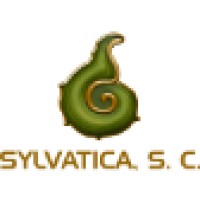 Sylvatica. S.C.