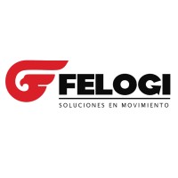 FELOGI logo - Similar company to Lcc Espacios