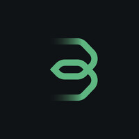 Bridgehampton logo - Similar company to Forward Vision Solutions Ltd