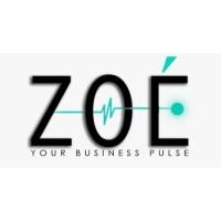ZoeTechSol logo - Similar company to Intelygic