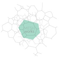 Mesh-works NL logo - Similar company to Fbbasic