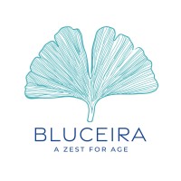 Bluceira logo - Similar company to Dna Services Santé