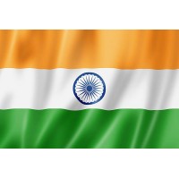 Confederation of Young Leaders of India logo - Similar company to Girl Up Inaayat
