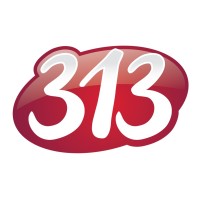 313 GROUP ApS logo - Similar company to Lederindsigt