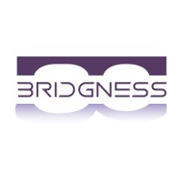 Bridgness logo - Similar company to Ediflex