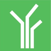 iCognitus logo - Similar company to Smartfox Team Building