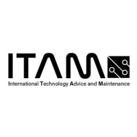 ITAM logo - Similar company to Serah