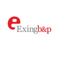 EX ING B&P logo - Similar company to Gemini Software Doo
