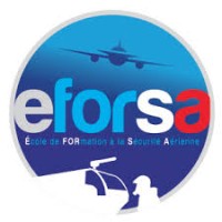 EFORSA logo - Similar company to Sotel Groupe