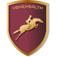 VehicHealth Private Limited logo - Similar company to Jsr Engineering Ltd