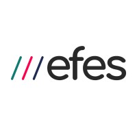 EFES Formación logo - Similar company to Prevesalud | Prevención De Riesgos Laborales