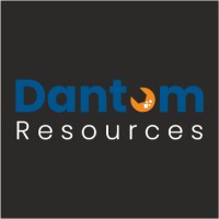 Dantom Resources logo - Similar company to Dantom Kft.